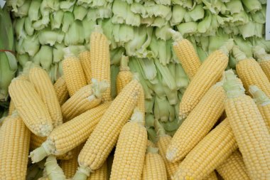 Çiğ Mısır ve koçan İstanbul'da Market Stall yığılmış