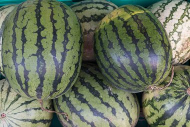 Satılık Mavi Market Stall Karpuz Yığını