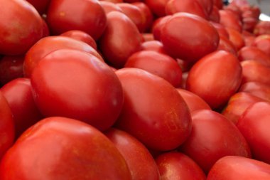 Taze Domates İstanbul Türkiye'de Çarşı Tezgahı Koydu