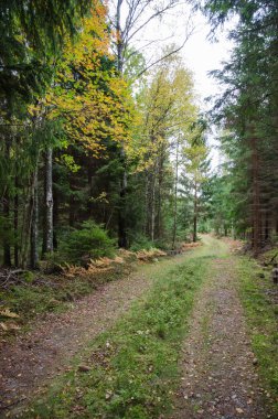 Yol kenarında tarafından sonbahar renkleri