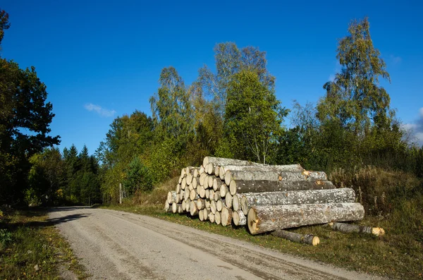 Stos drewna Aspen przez drogowe — Zdjęcie stockowe