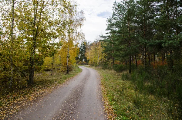 Vinutí štěrková cesta ve zlatých barvách — Stock fotografie