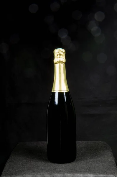 Garrafa única de vinho espumante — Fotografia de Stock