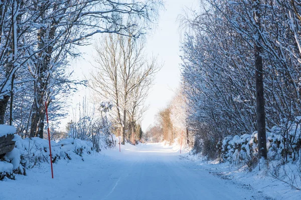 Landsväg genom ett snöigt vinterlandskap — Stockfoto