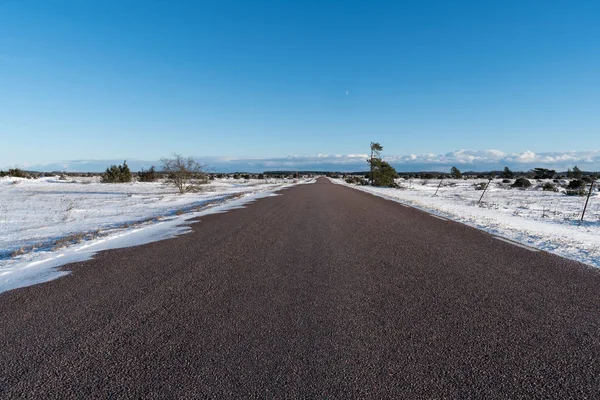 Escena de invierno desde un camino recto a través de un gran paisaje llano —  Fotos de Stock