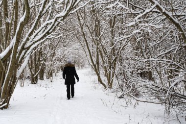 Karlı manzarada kişi yürüyor