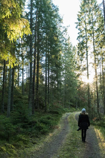 Caminar en el bosque verde — Foto de Stock