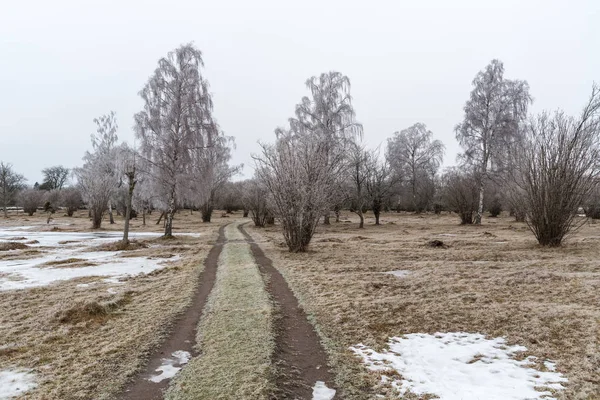 Strada di campagna in un paesaggio gelido — Foto Stock