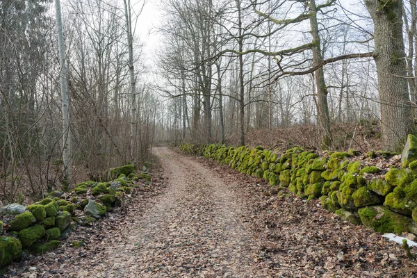 Mossy stenen muren langs een landweg — Stockfoto