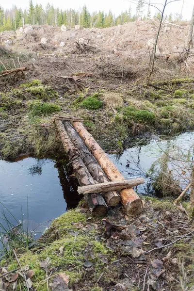 Timrade gångbro över en liten bäck — Stockfoto