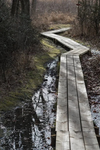 Curved wooden footpath — Stock Photo, Image