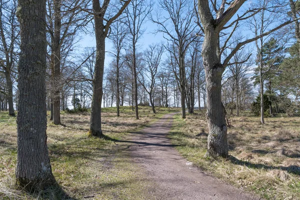 Pasarela sinuosa en primavera — Foto de Stock