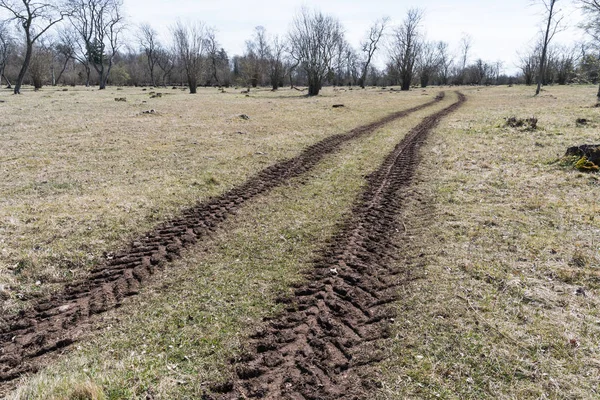 Tractor tracks at springtime — Stock Photo, Image