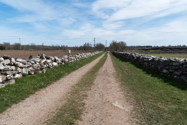 Agricultores estrada velha — Fotografia de Stock
