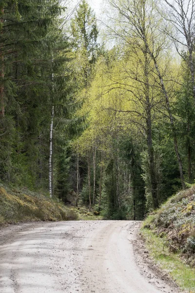 Schotterstraßenkurve zur Frühlingszeit — Stockfoto