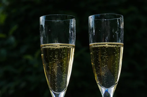 Fechar de dois copos com champanhe — Fotografia de Stock