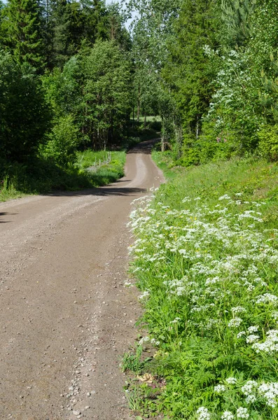 Beautiful country road at summer season — Stock Photo, Image