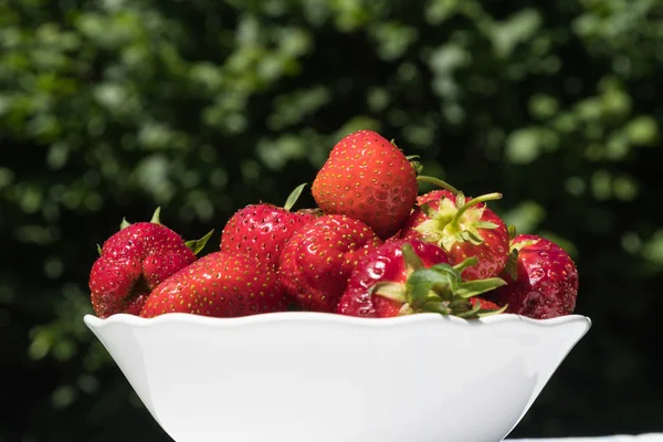 Bowl with fresh strawberries — Stock Photo, Image