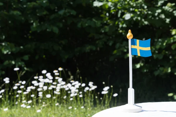 Swedish miniature flag — Stock Photo, Image
