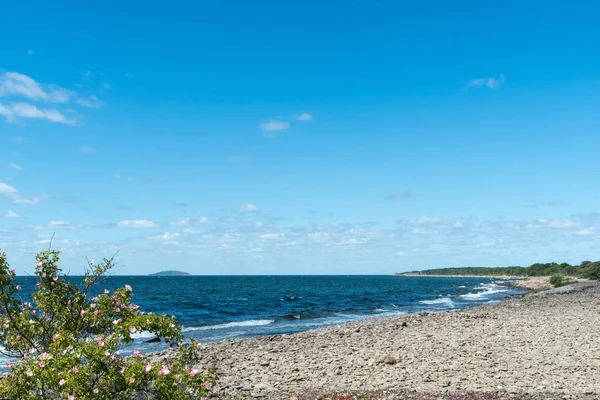Küste auf der schwedischen Insel Oland — Stockfoto