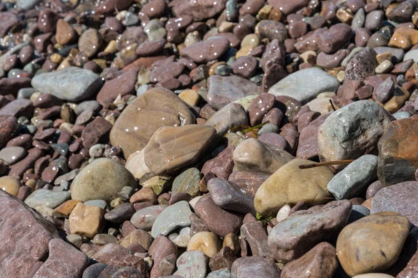 Pebbles molhados pela costa — Fotografia de Stock