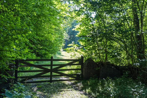 Vecchio cancello di legno in un verde lussureggiante Immagini Stock Royalty Free