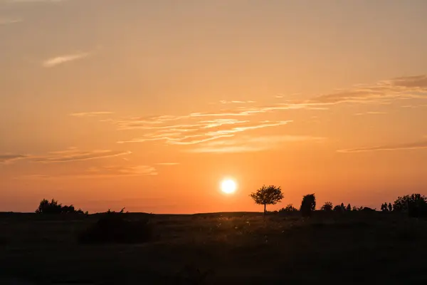 Renkli düz bir otlak günbatımında — Stok fotoğraf