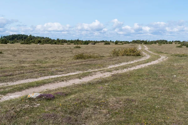 Carretera de campo sinuosa — Foto de Stock