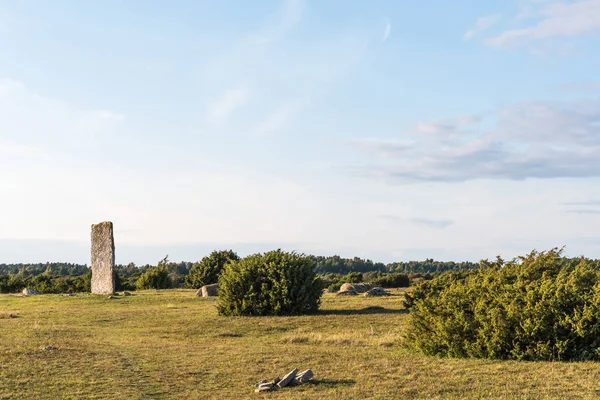 Antiguo monumento entre los enebros en un gran prado llano — Foto de Stock