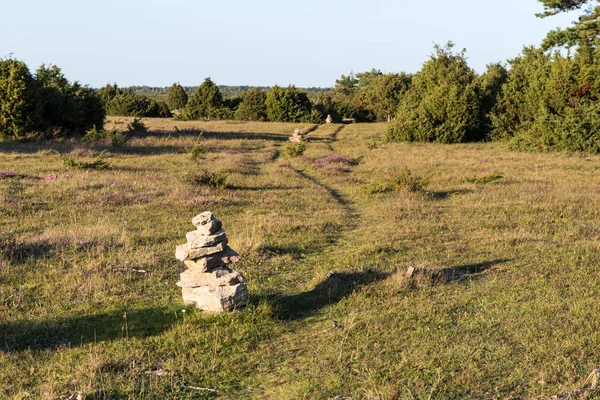 Chemin balisé parmi les genévriers — Photo