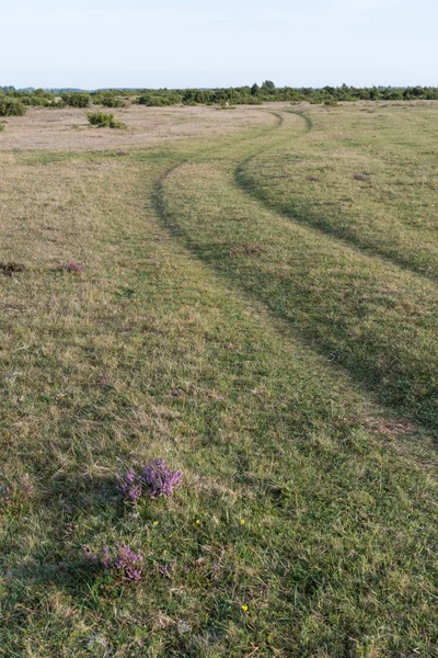 Enrolamento estrada grama em uma paisagem plana — Fotografia de Stock