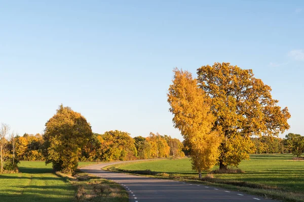蜿蜒的道路，在农村景观的秋天的季节 — 图库照片