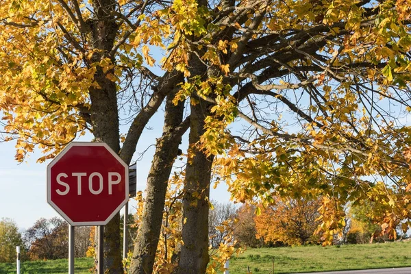 Detener señal de tráfico por temporada de otoño — Foto de Stock