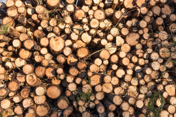 Modello di pila di legno di legno — Foto Stock