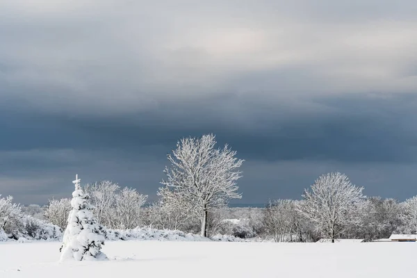 Vinterlandskap med mörk himmel — Stockfoto