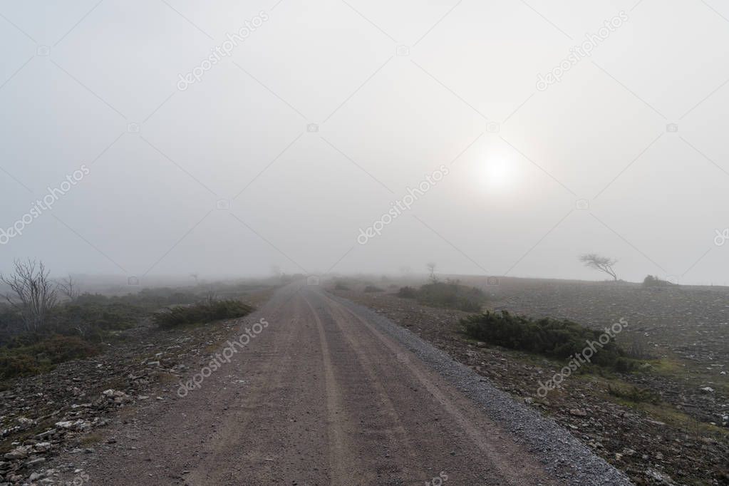 Landscape with a misty gravel road