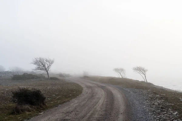 Misty spooky country road — Stock Photo, Image