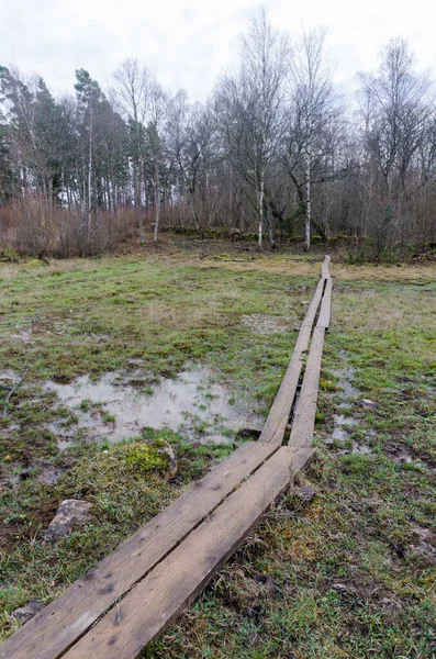 Passarela de madeira através de uma zona húmida — Fotografia de Stock