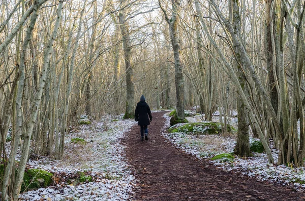 Жінка йде пішки з першим снігом — стокове фото