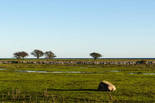 Stor slättmark på Öland i Östersjön — Stockfoto