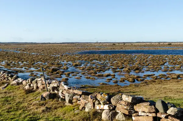 Terras húmidas com tufos de grama e uma parede de pedra seca tradicional — Fotografia de Stock