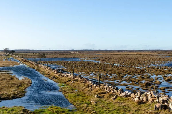 Overstroomd landschap aan het begin van de lente — Stockfoto