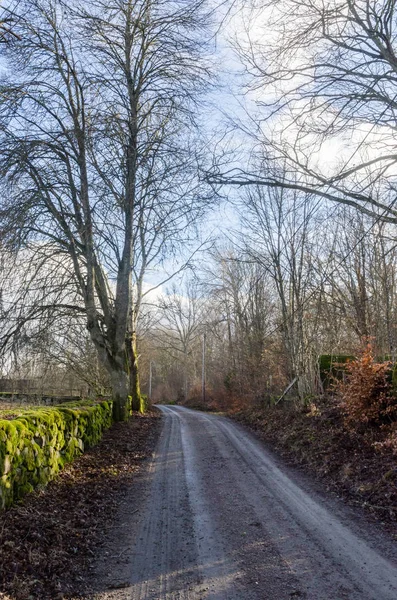 Oude kronkelende grind weg — Stockfoto