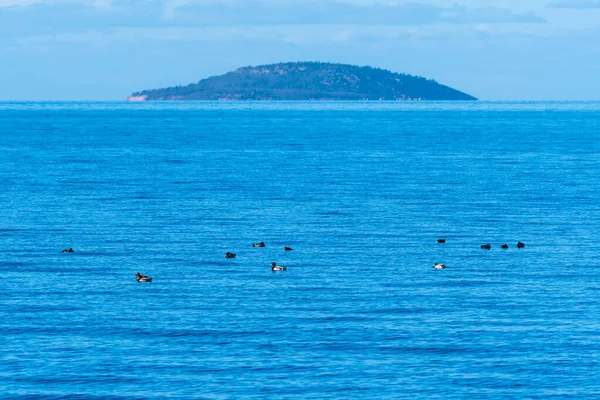 Hermosa Isla Azul Bla Jungfrun Mar Báltico Suecia Vista Desde —  Fotos de Stock