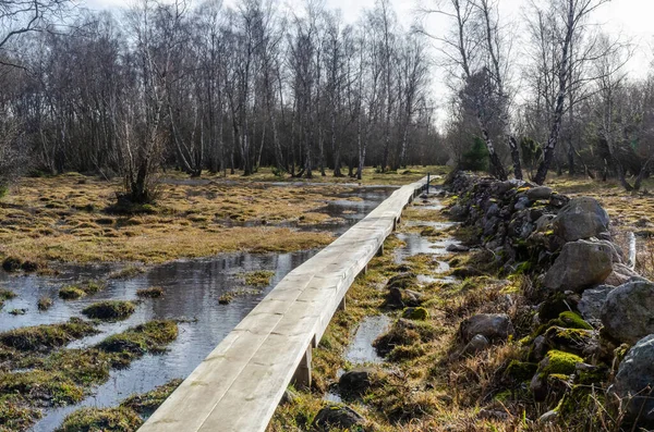 Houten Voetpad Een Wetland Het Zweedse Eiland Oland Het Voorjaarsseizoen — Stockfoto