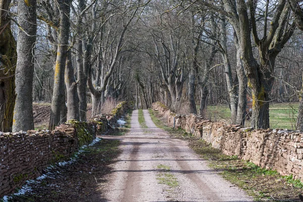 Landweg Een Steegje Omringd Door Droge Stenen Muren Het Voorjaar — Stockfoto