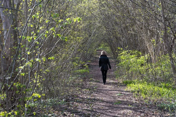 Donna Che Cammina Sola Una Foresta Nella Stagione Delle Foglie — Foto Stock