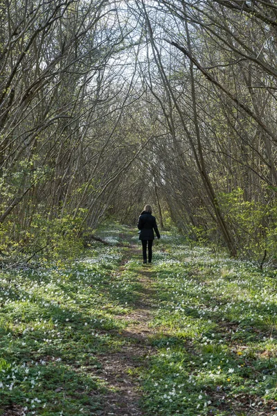 Caminar Solo Por Sendero Verde Con Flores Blancas Temporada Hojas — Foto de Stock