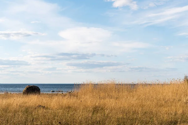 葦のある海辺の景色とスウェーデンのオランド島の大きな石 — ストック写真