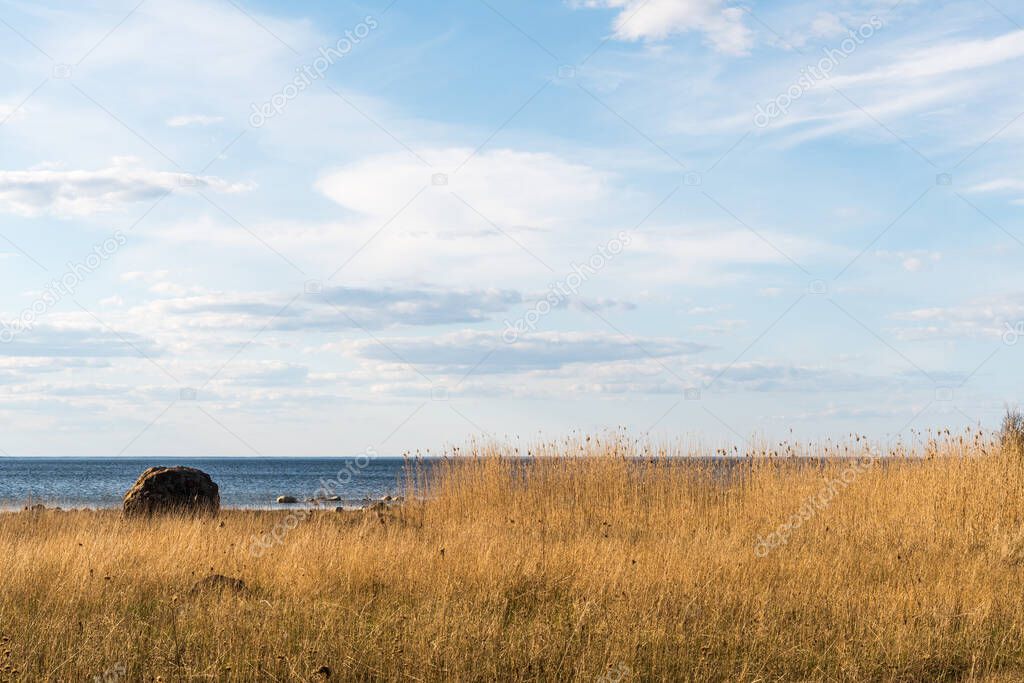 Seaside view with reeds and a big stone on the island Oland in Sweden